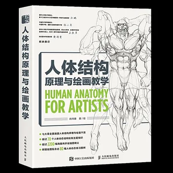 İlkeleri İnsan Vücudu Yapısı ve Boyama Öğretim Sanat çizim kitabı İnsan Vücudu Yapısı Temel Eğitimi