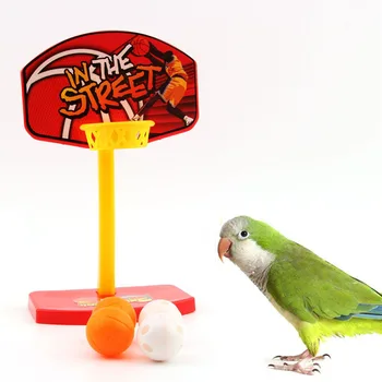 Pet Kuş Oyuncaklar Kuş Mini Basketbol Sepeti Çember 4 Topları ile Parrot Parakeet Eğitim Çiğnemek Oyuncaklar Komik İnteraktif Kuş Malzemeleri