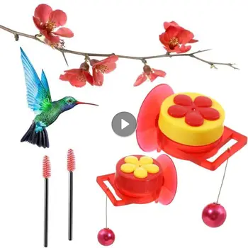 Sinek Kuşu Besleyiciler Yeni El Mini El Besleyici Vantuz Pencere Kuş Besleyiciler Levrek Temizleme Fırçası Açık Havada Bahçe